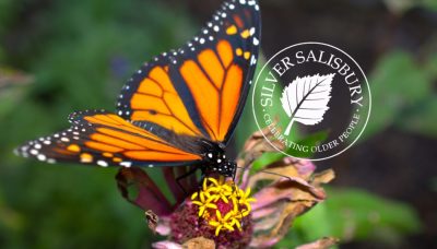 Brilliant Mini-Beasts